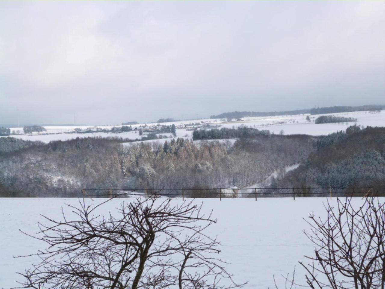 Villa Mosel مورباخ المظهر الخارجي الصورة